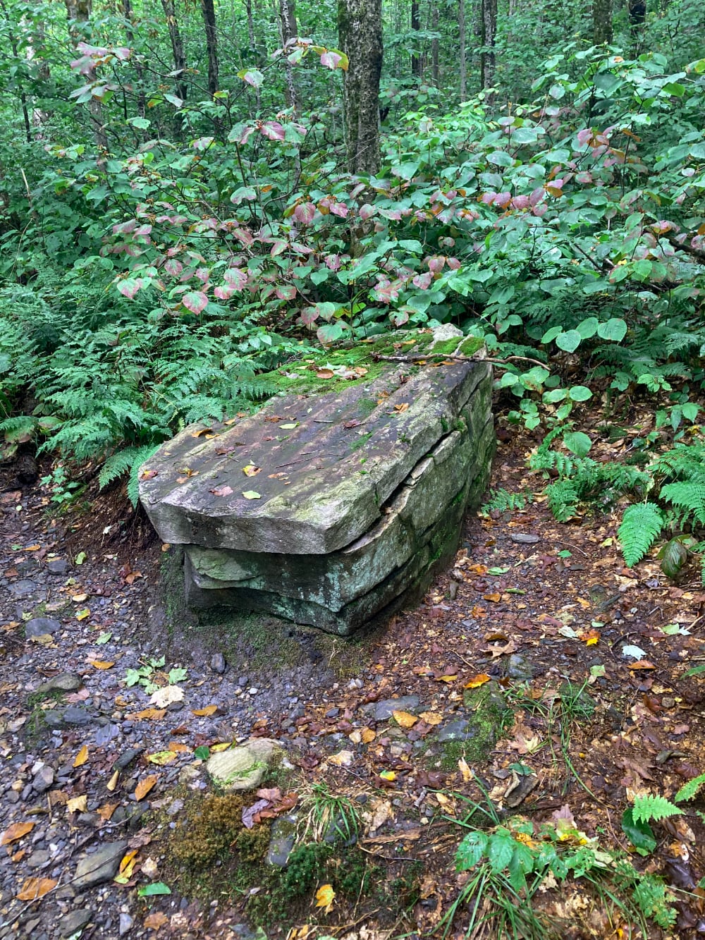 Photograph of a rock